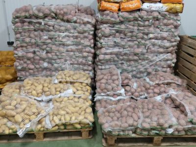 Exposición de frutas y verduras frescas en feria agrícola